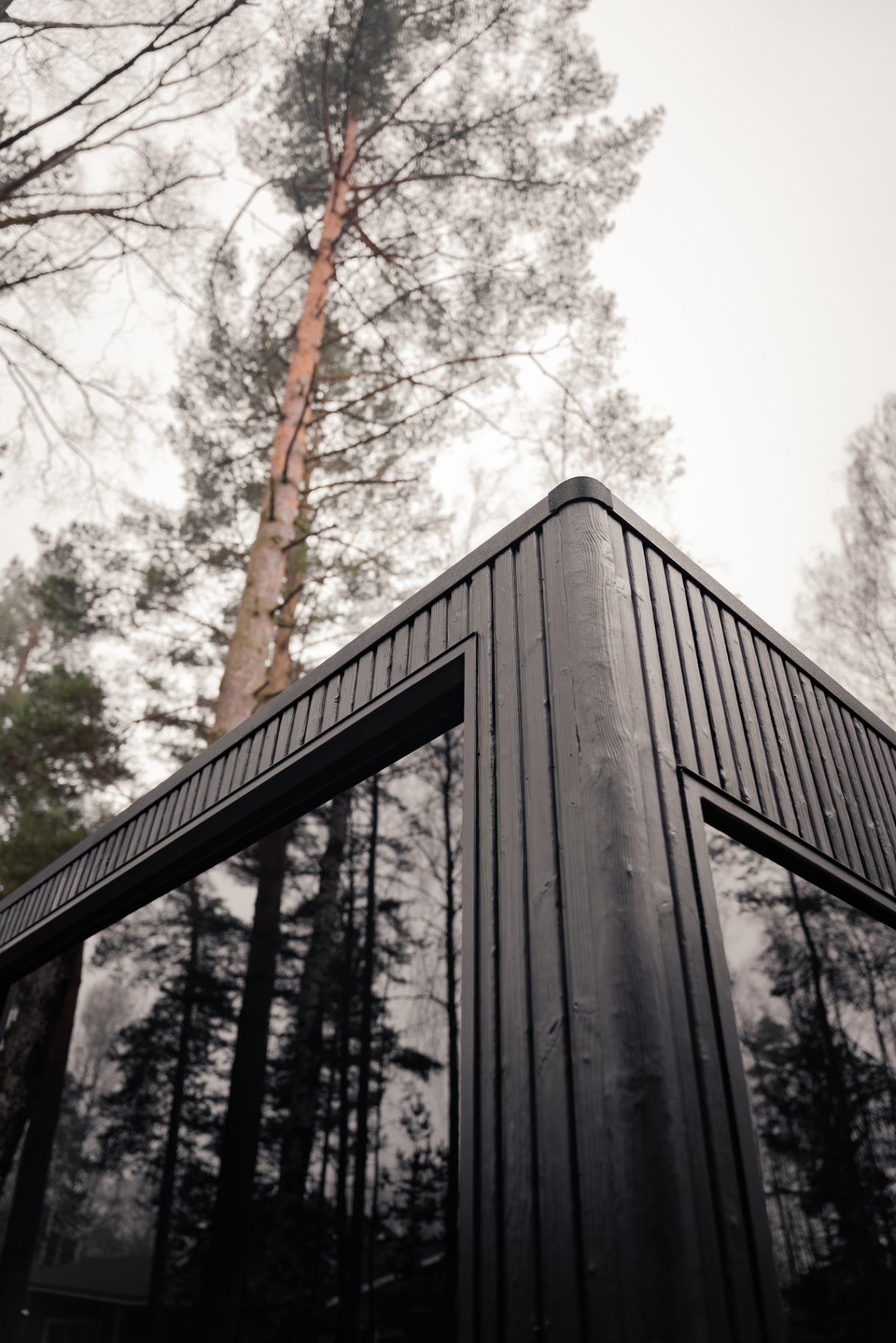 Jonas Grand barrel sauna in ebony charred timber | Signature Garden Rooms Scotland