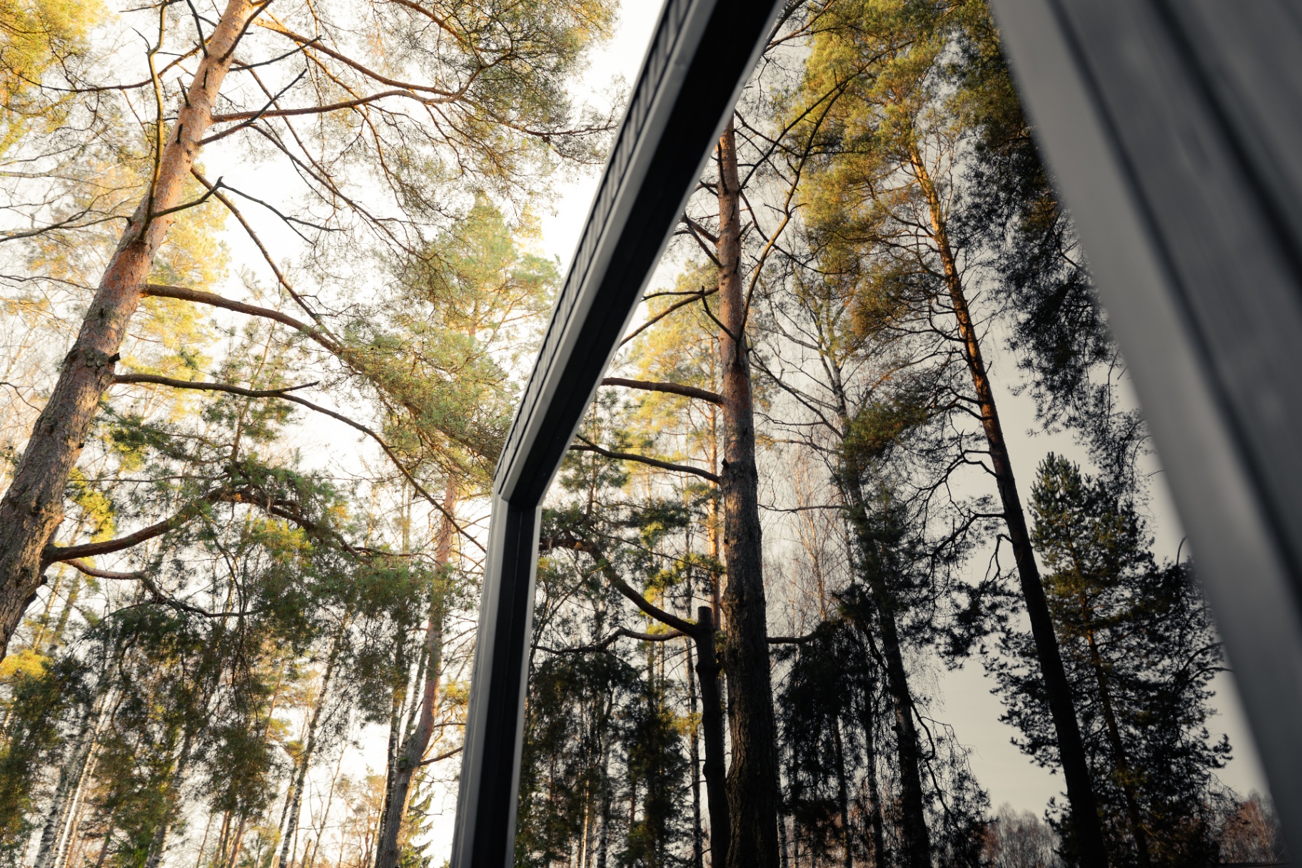 Ebony cube sauna with HUUM black glass heater | Signature Garden Rooms