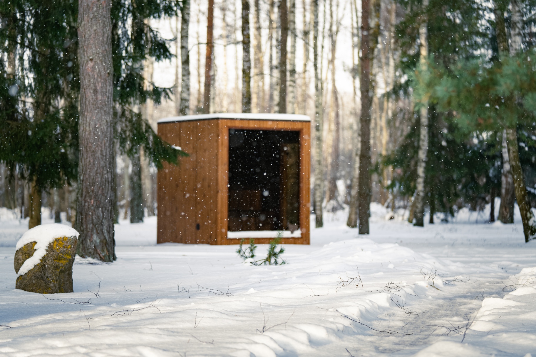 Jonas teak barrel sauna in Scottish winter | Signature Garden Rooms